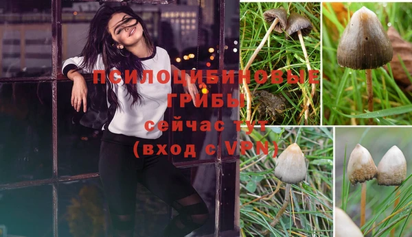 героин Каменка