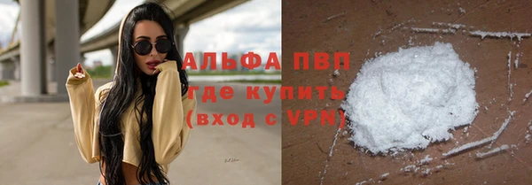 крисы Карпинск