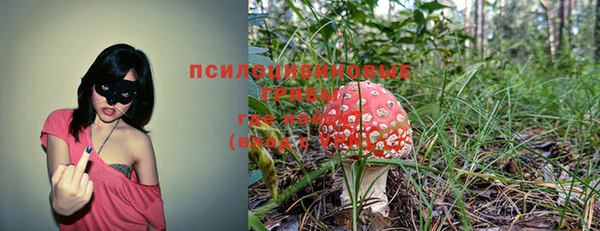 метадон Каменногорск