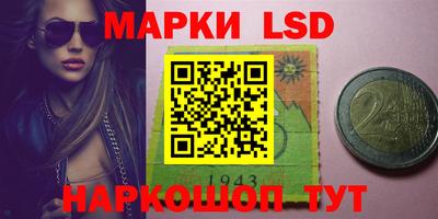 МДПВ Владимир