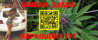 МДПВ Владимир