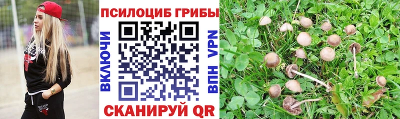 omg   нарко площадка как зайти  Псилоцибиновые грибы мицелий  Кореновск 
