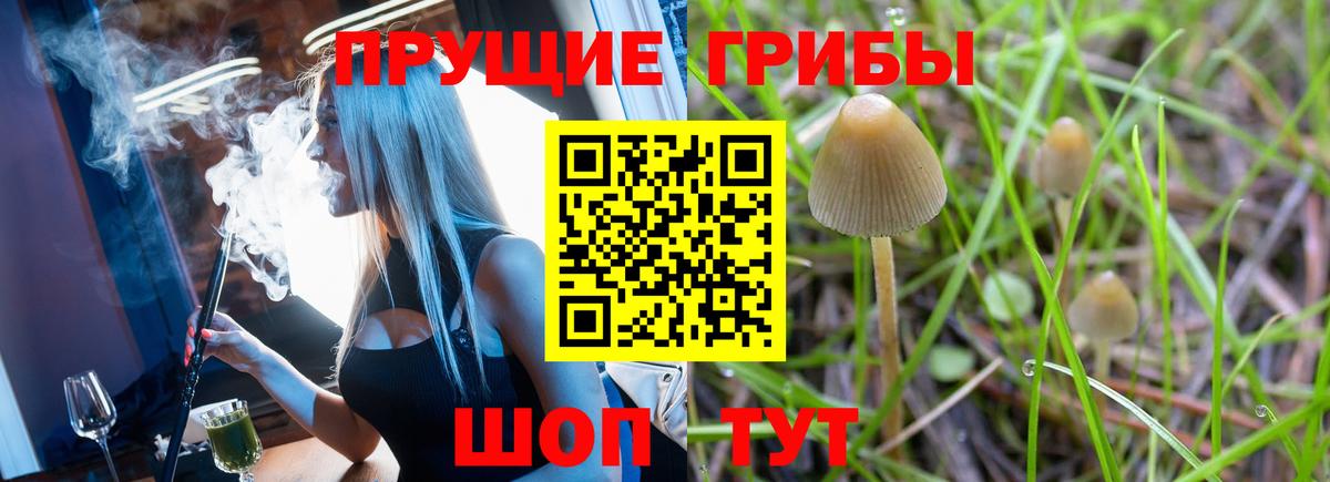 Галлюциногенные грибы прущие грибы  Вход с VPN  Кореновск 