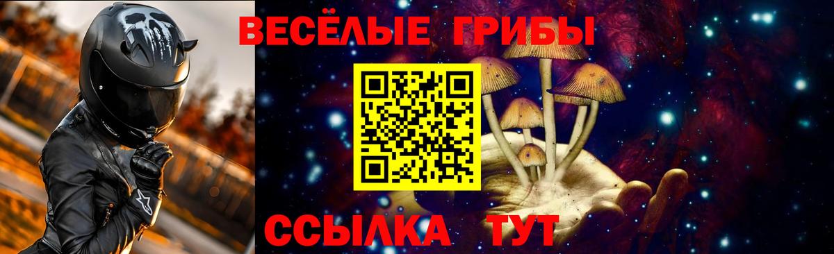 Псилоцибиновые грибы GOLDEN TEACHER Кореновск